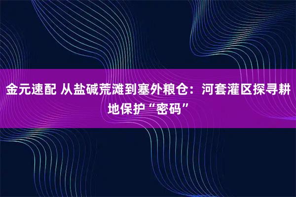 金元速配 从盐碱荒滩到塞外粮仓：河套灌区探寻耕地保护“密码”