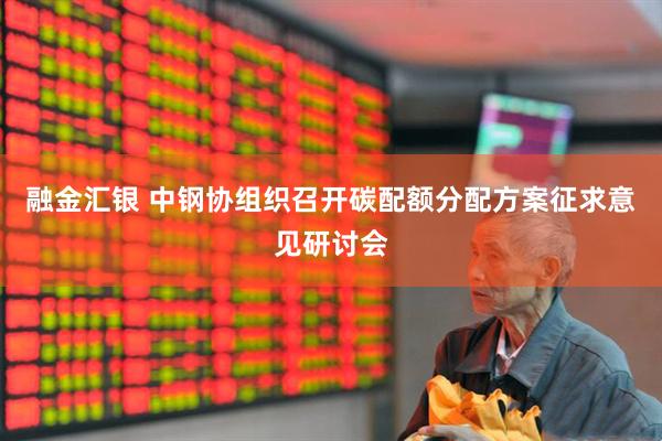 融金汇银 中钢协组织召开碳配额分配方案征求意见研讨会