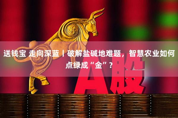 送钱宝 走向深蓝丨破解盐碱地难题，智慧农业如何点绿成“金”？