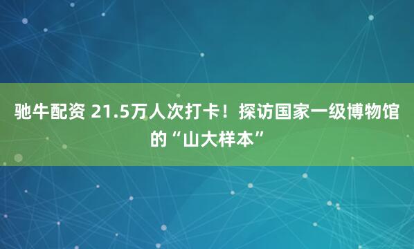 驰牛配资 21.5万人次打卡！探访国家一级博物馆的“山大样本”
