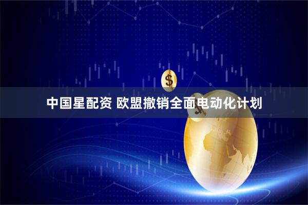 中国星配资 欧盟撤销全面电动化计划