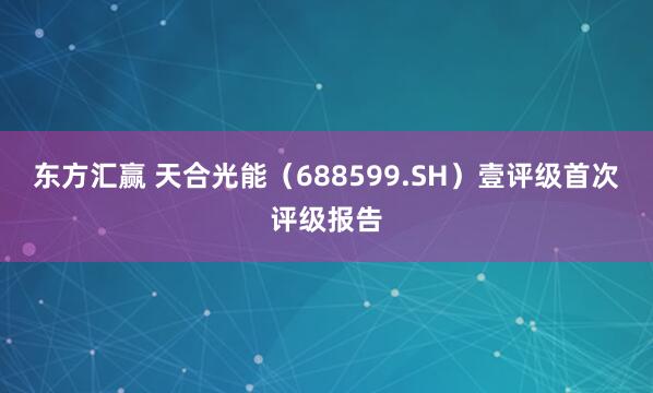 东方汇赢 天合光能（688599.SH）壹评级首次评级报告